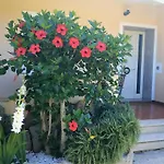 Casa Dolce Hibiscus