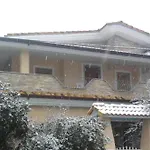 Casa Dolce Hibiscus