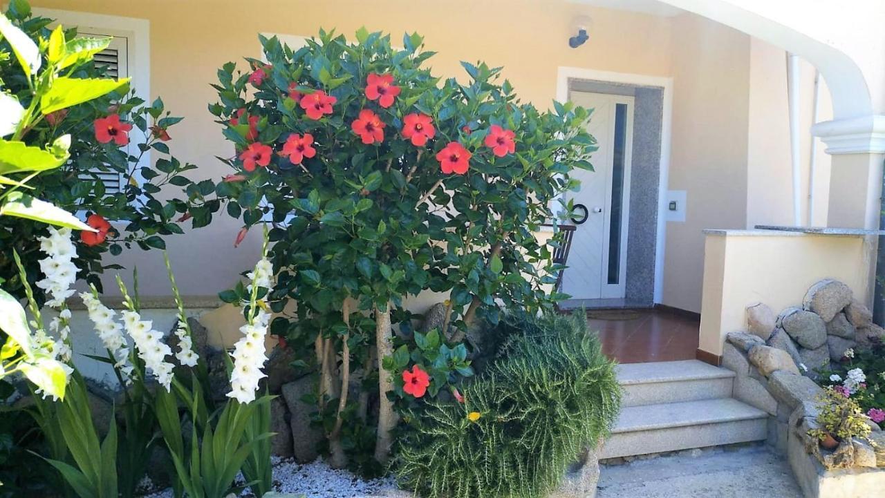 Casa Dolce Hibiscus Olbia