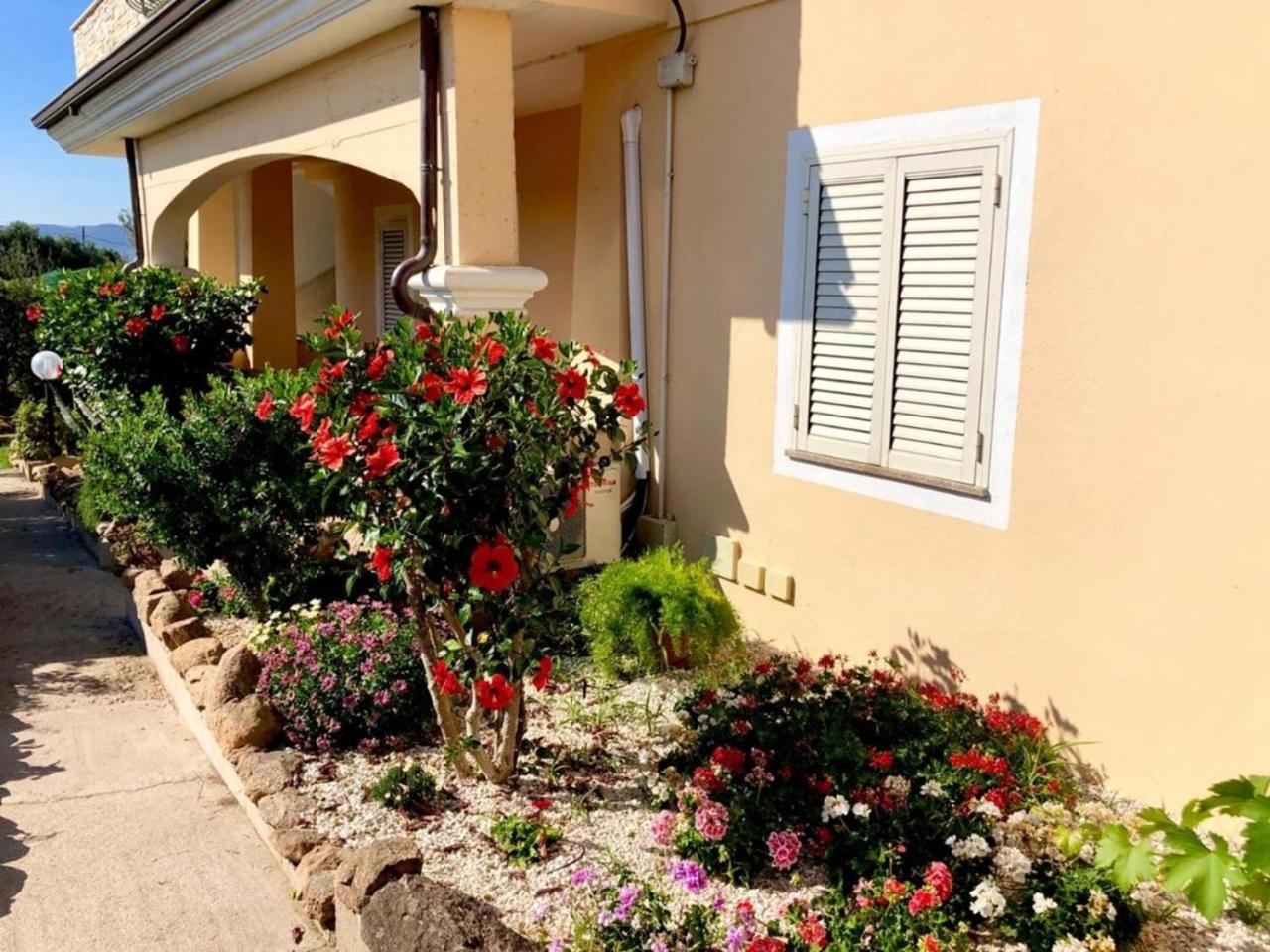 Casa Dolce Hibiscus Olbia
