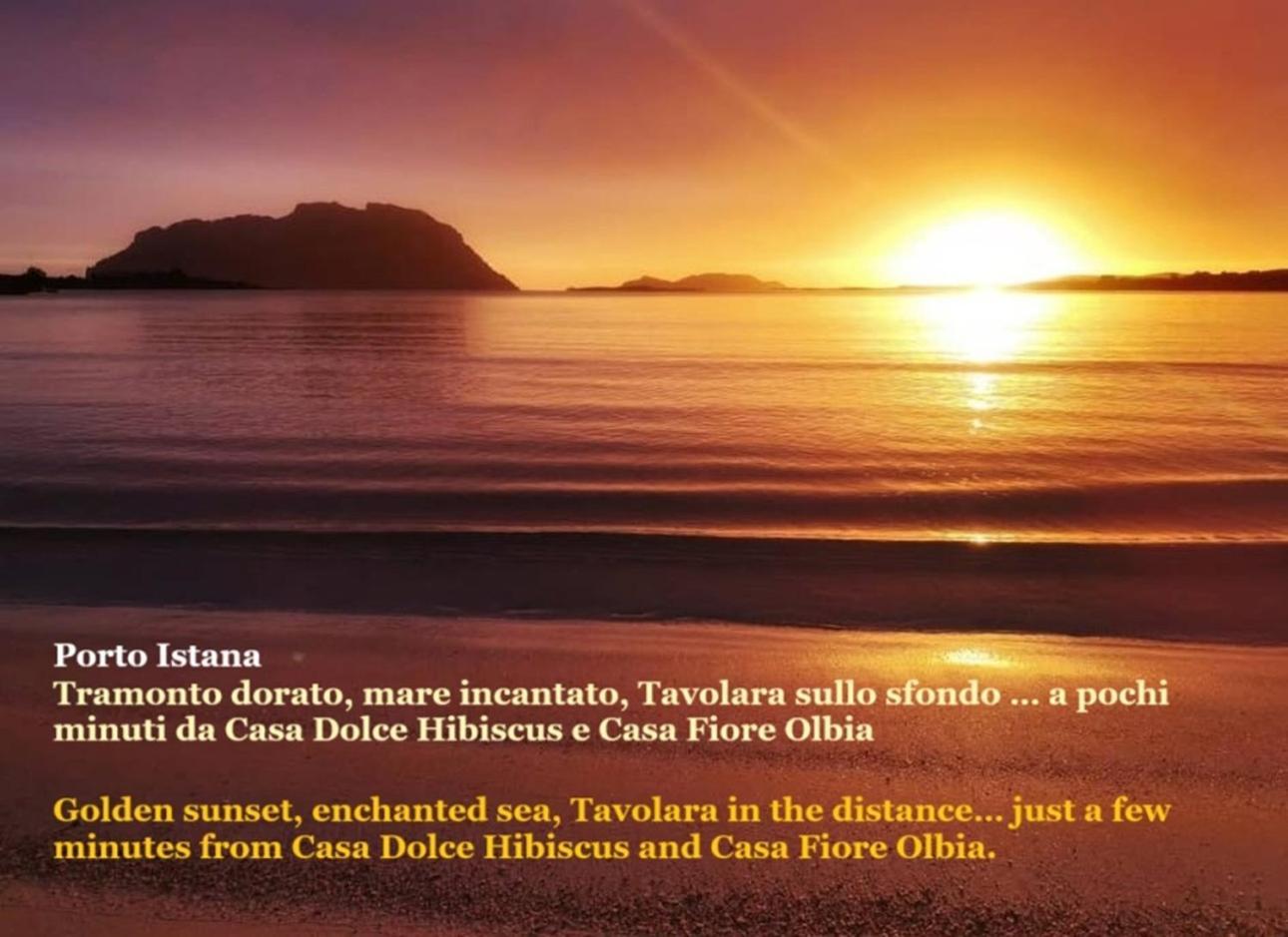 Dolce Hibiscus Apartment *