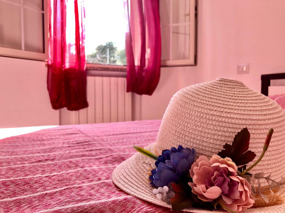 Casa Dolce Hibiscus *