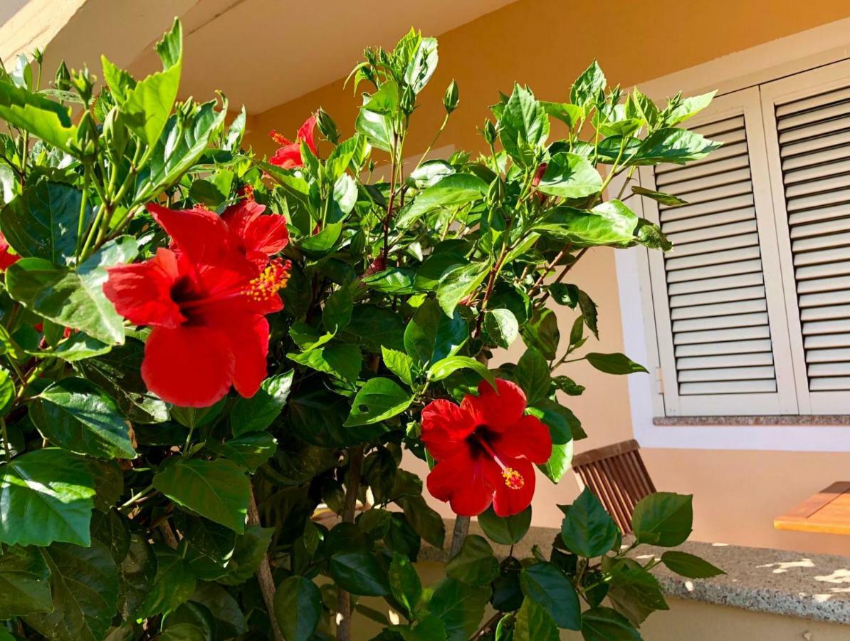 Casa Dolce Hibiscus Apartment